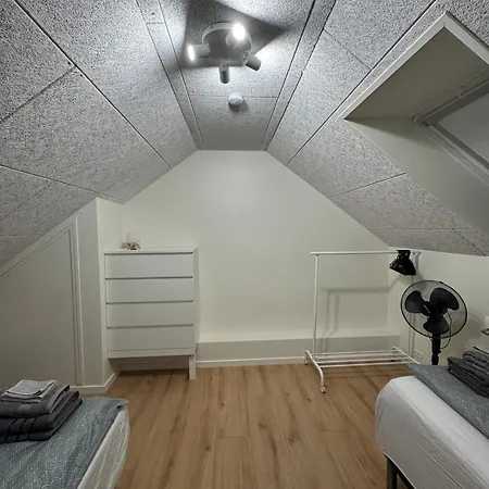 Apartment The Wild Swan - Big House With Many Beds In - Free Parking Odense