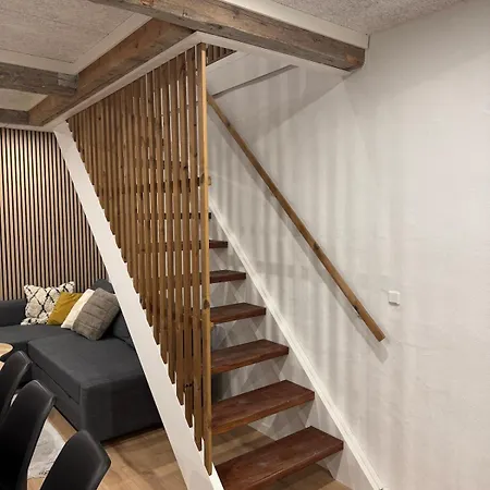 The Wild Swan - Big House With Many Beds In - Free Parking アパート オーデンセ