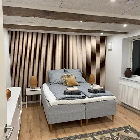 The Wild Swan - Big House With Many Beds In - Free Parking * Odense