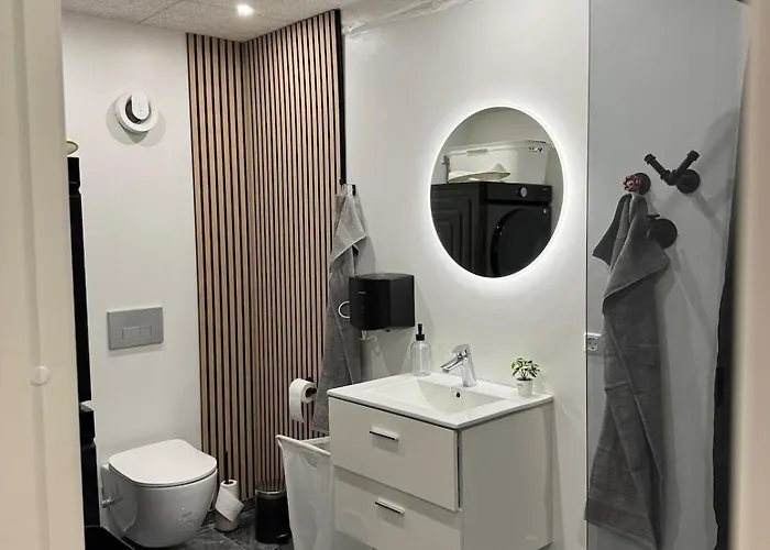 Apartment The Wild Swan - Big House With Many Beds In - Free Parking *