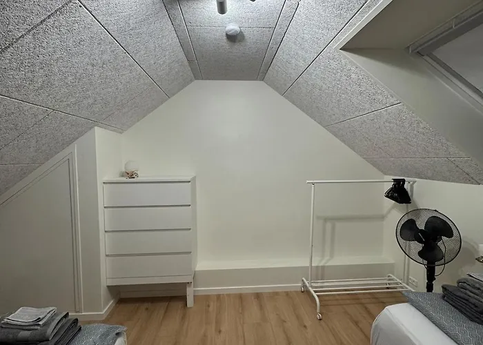 Apartment The Wild Swan - Big House With Many Beds In - Free Parking Odense