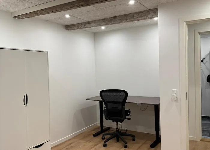 The Wild Swan - Big House With Many Beds In - Free Parking Odense