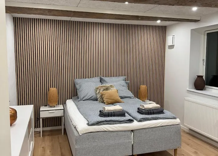 The Wild Swan - Big House With Many Beds In - Free Parking * Odense