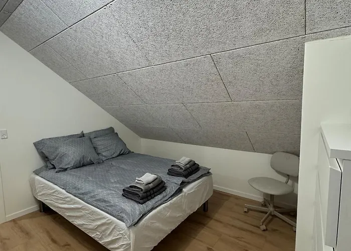 Apartment The Wild Swan - Big House With Many Beds In - Free Parking *